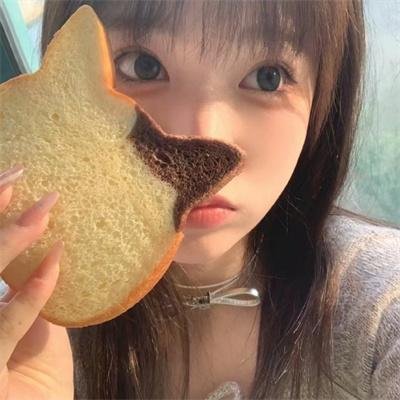 大脑中的猫
